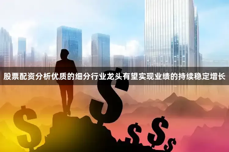 股票配资分析优质的细分行业龙头有望实现业绩的持续稳定增长