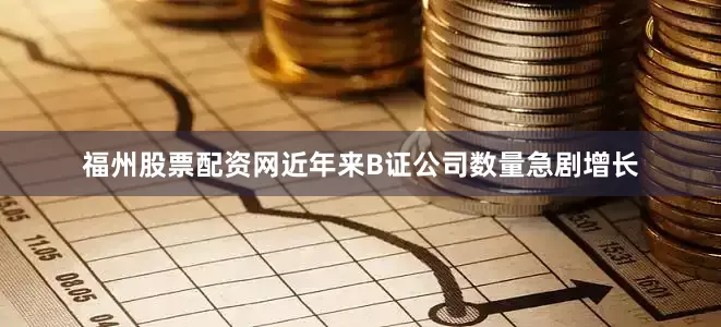 福州股票配资网近年来B证公司数量急剧增长